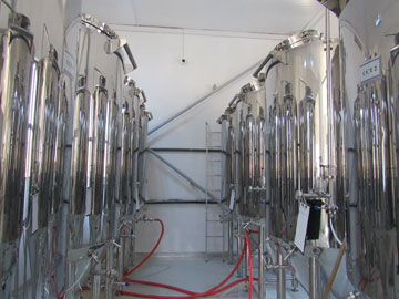 Fermentation area